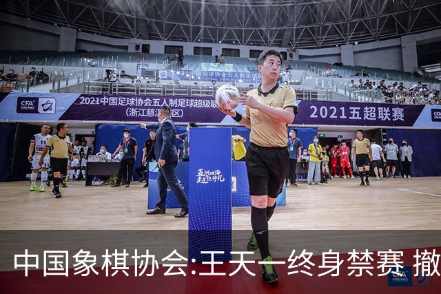 中国象棋协会:王天一终身禁赛 撤销特大等称号